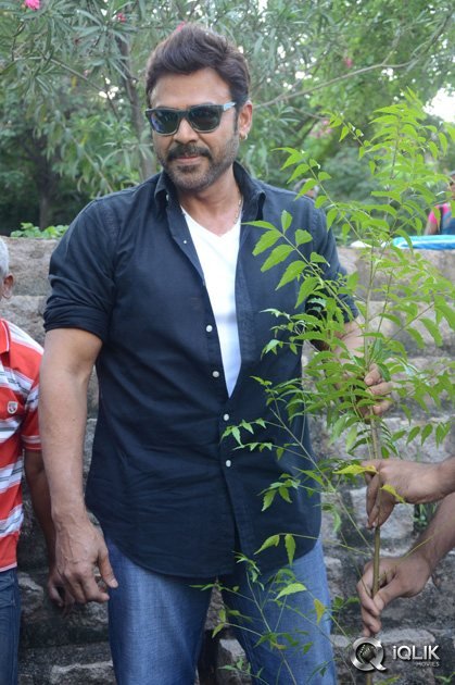 -Venkatesh-At-Haritha-Haaram-Event